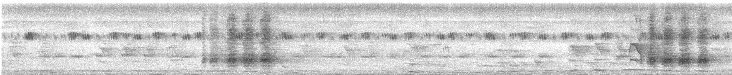 Rufous Treepie - ML629908546