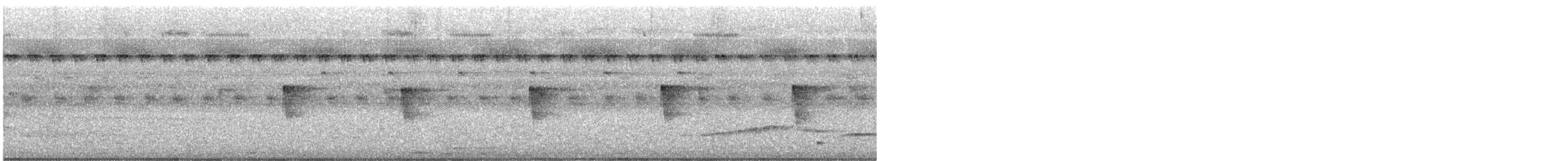 מין לא מוכר - ML629908774