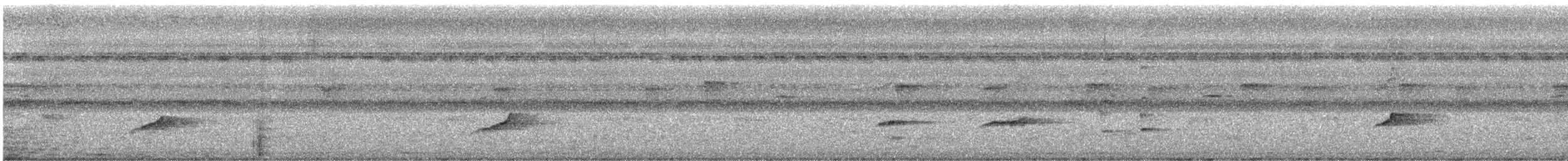 מין לא מוכר - ML629908776