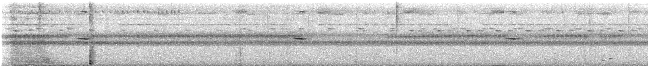 מין לא מוכר - ML629908777