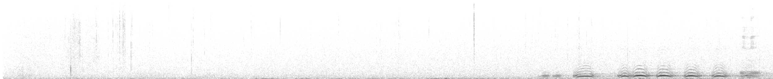 Cinereous Owl - ML629915783
