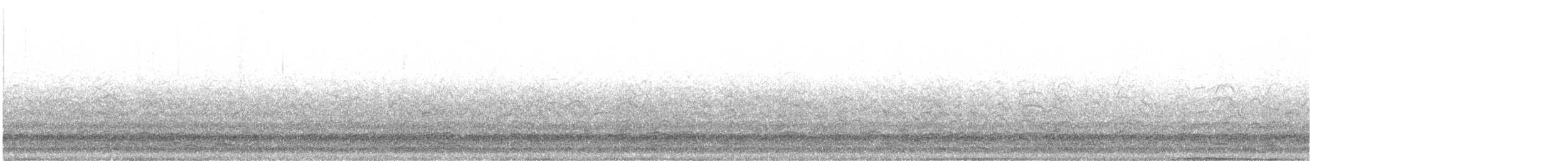 Snow Goose - ML629919791