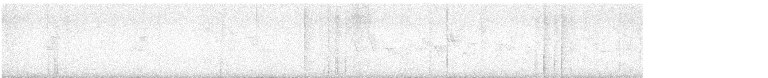 holub kanárský - ML629923297