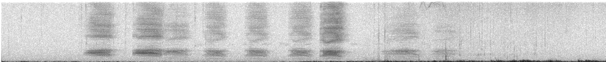 Hispaniolan Palm-Crow - ML629933231