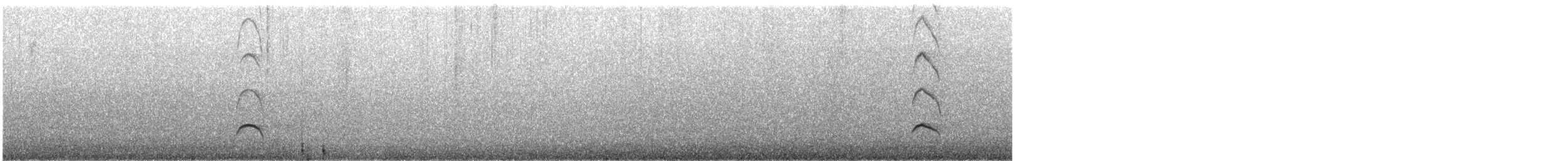 オーストラリアクロミヤコドリ - ML629940466