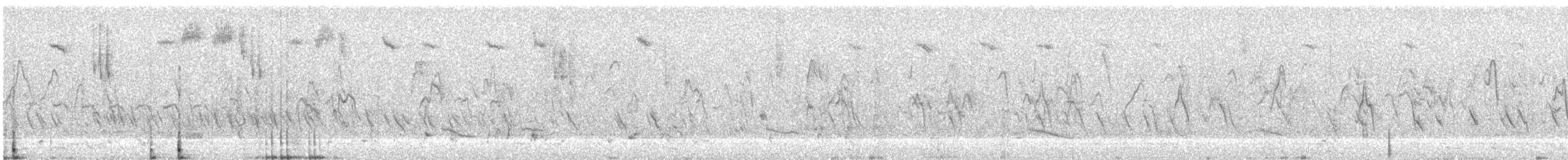 Southern Emuwren - ML629940562