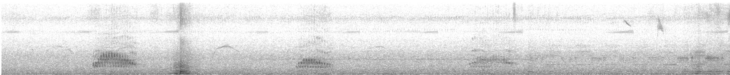 オーストラリアヘラサギ - ML629940609