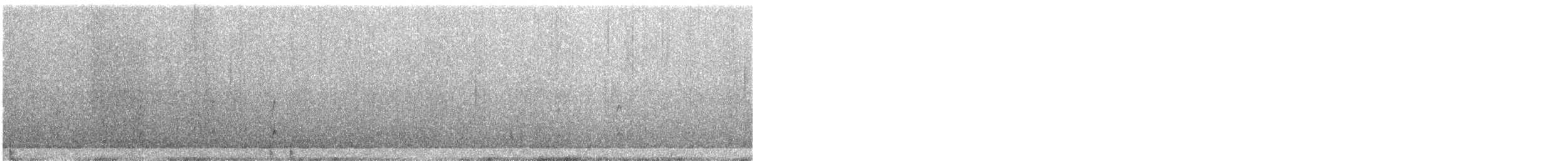 オーストラリアクロミヤコドリ - ML629941491