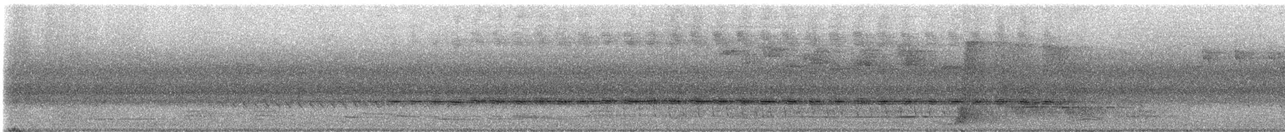 Sahul Cicadabird - ML629942106