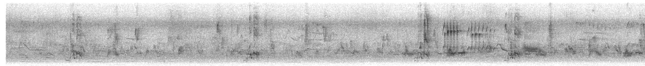 Gray Treepie - ML629943306