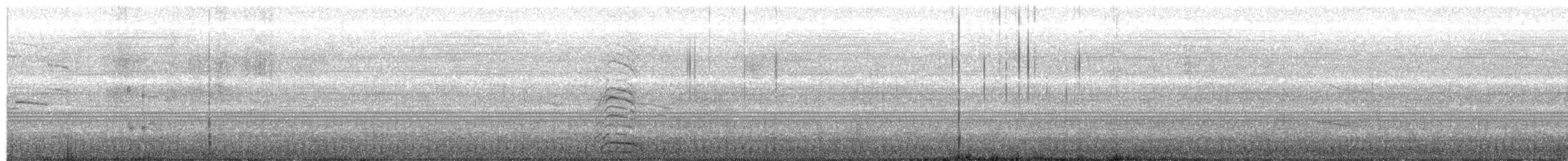 Black-tailed Gull - ML629944605