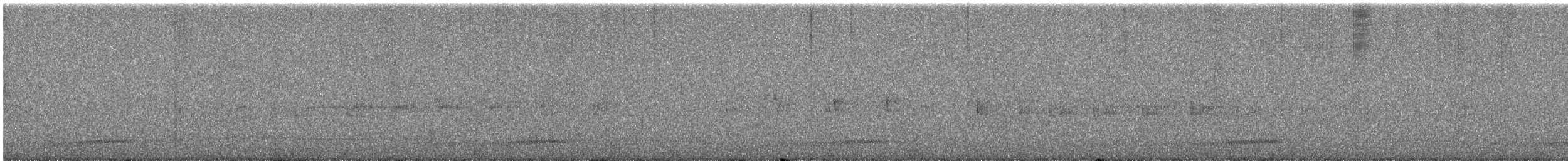 Hispaniolan Nightjar - ML629948546