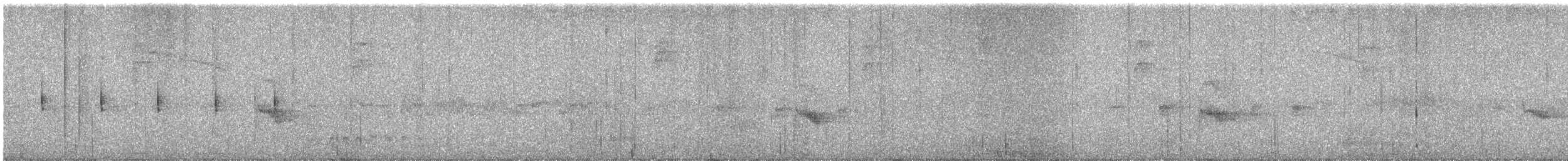 Bicknell's Thrush - ML629948554