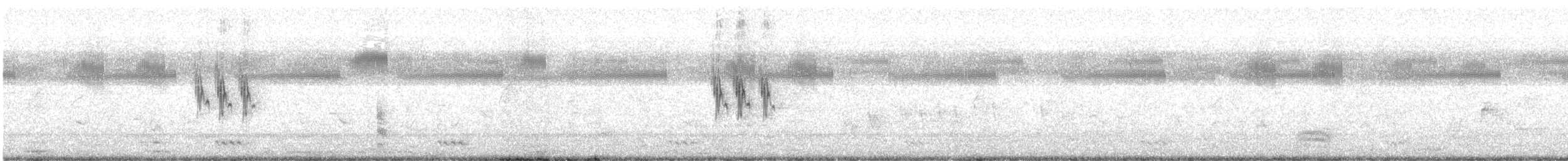 pipit sp. - ML629951886