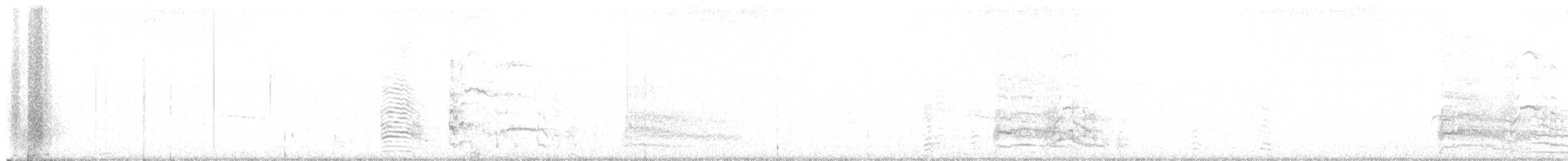 Franklin's Gull - ML629952781