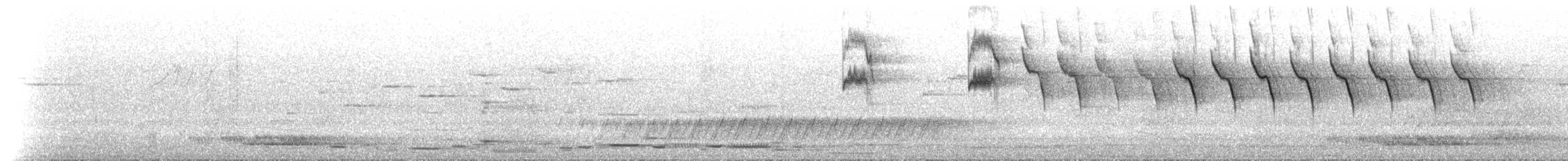 ビロードヒラハシ - ML629954046