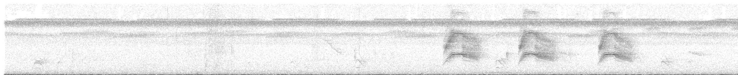Yellow-margined Flatbill (examinatus) - ML629957477