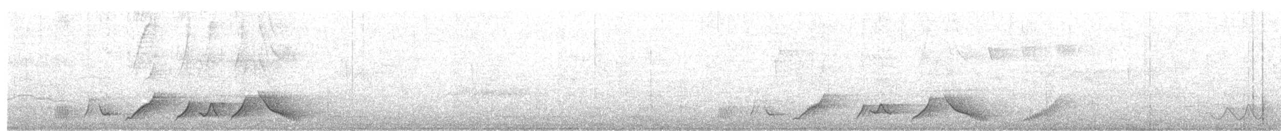 Grammatoptile strié - ML629958836