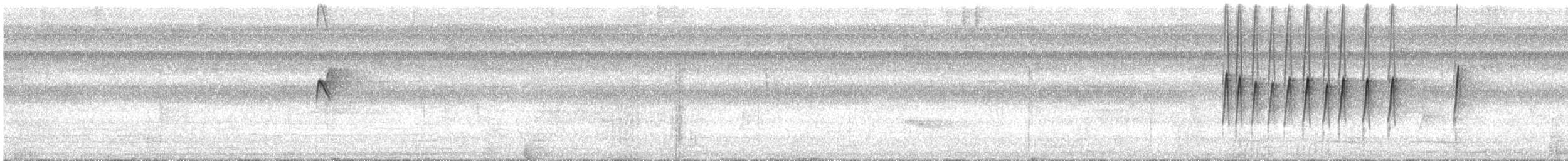 Whiskered Flycatcher - ML629963172