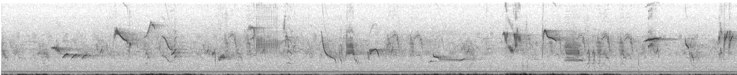 Rufous-tailed Scrub-Robin - ML629964587