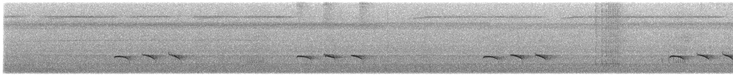 Peruvian Warbling-Antbird - ML629966152