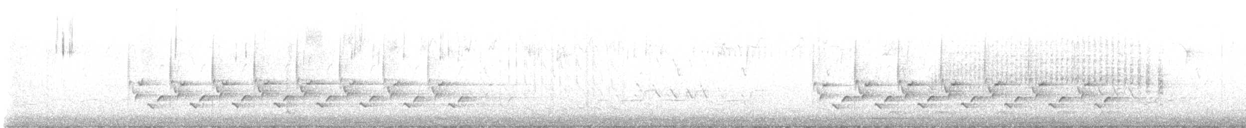 střízlík karolínský - ML629966793