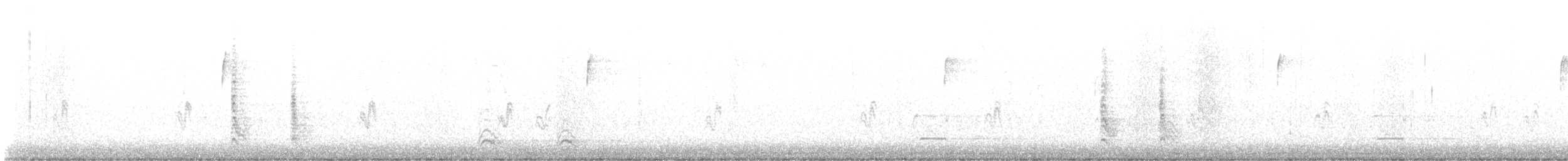 datel karolínský - ML629966826