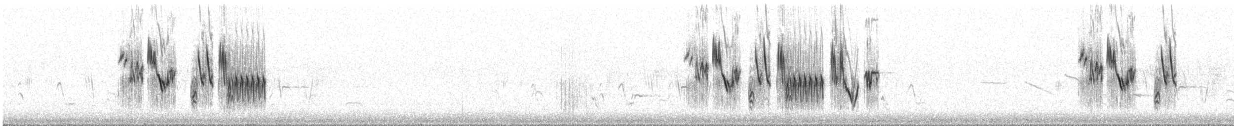 Hellmayr's Pipit - ML629971921