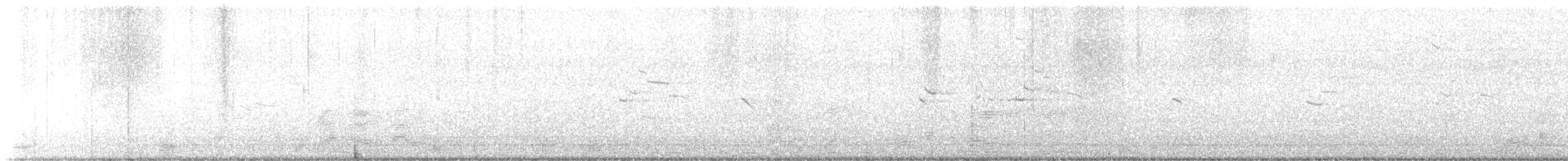 American White Pelican - ML629972655