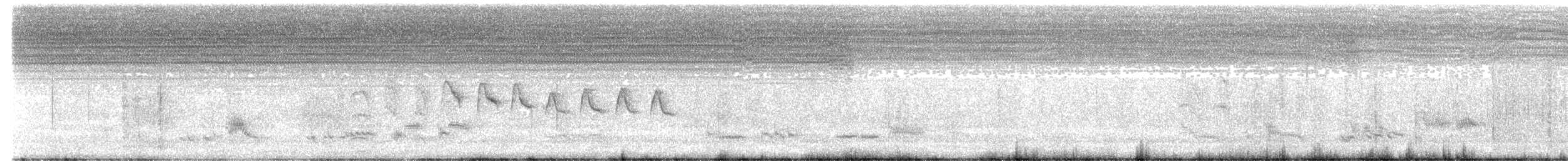 Tropical Gnatcatcher - ML629972874