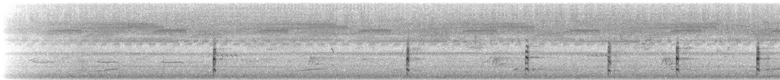 Spotless Crake - ML629974529