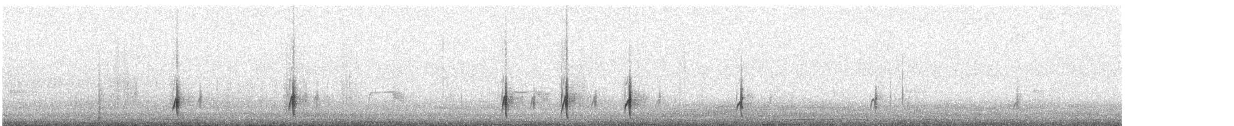 Tschudi's Nightjar - ML629983944