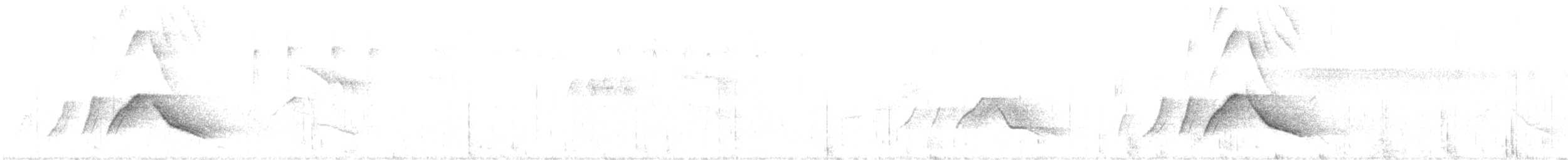 White-eared Sibia - ML629991778