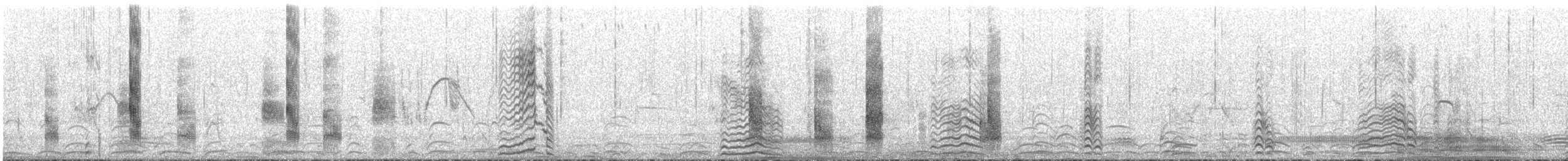 Sterne à longues pattes - ML629993070