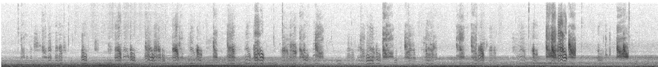 Sterne à longues pattes - ML629993091