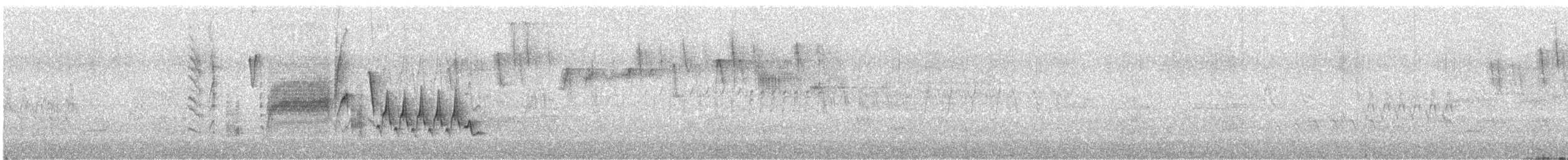 Southern House Wren - ML629995809