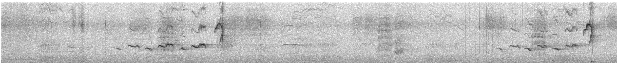 Chiguanco Thrush - ML629995925