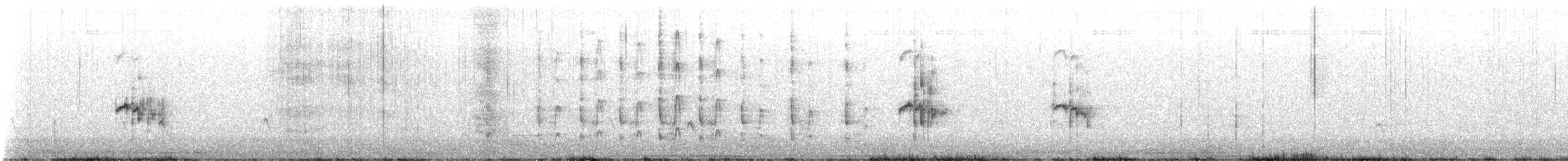 nordglattyrannulett - ML629998424