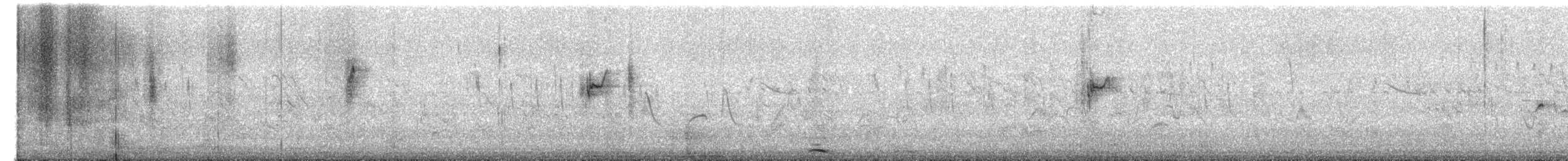 Black Francolin - ML629998476