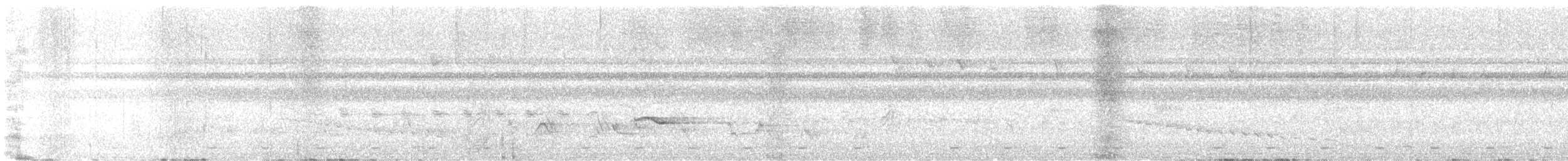 コンゴテリムク（elgonensis） - ML630001164