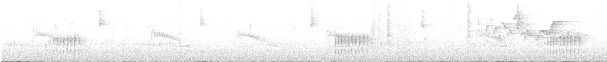 sølvbryntapakulo - ML630003901