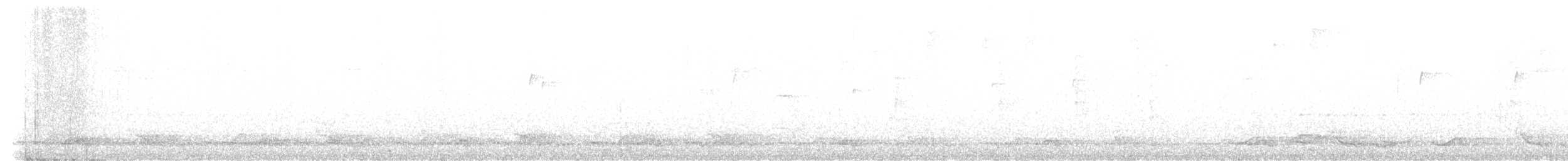 Spotted Wood-Quail - ML630004275