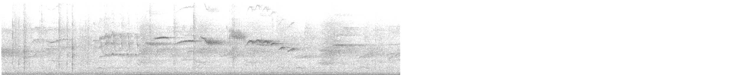 White-gorgeted Flycatcher - ML630010661