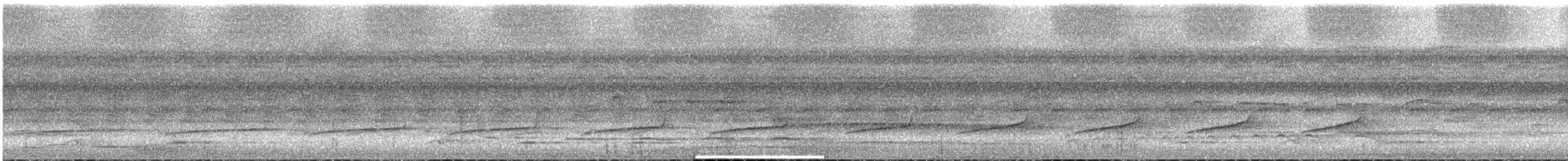 Gray Antwren - ML630017752