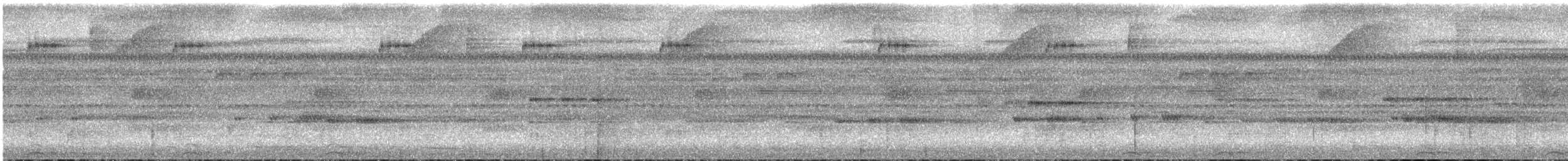 オナガタチヨタカ - ML630018162