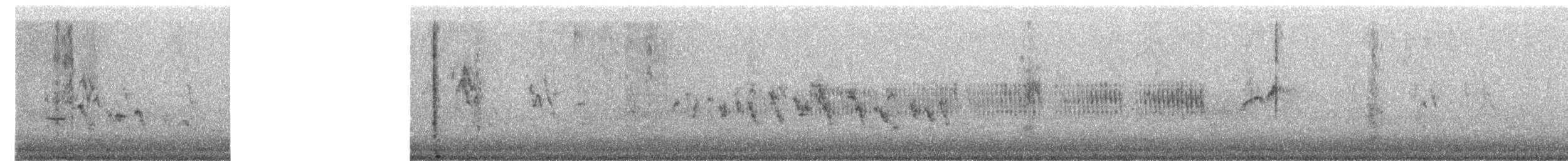 Spizella sp. - ML630018663