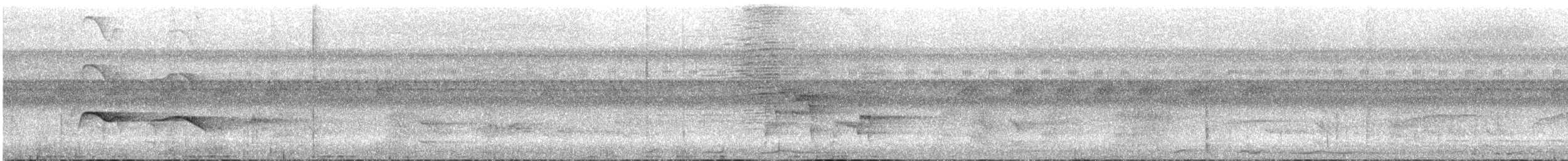 Ringed Antpipit - ML630018974