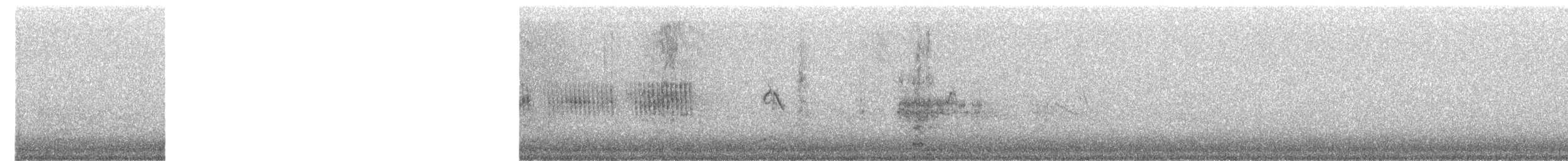 Spizella sp. - ML630019156