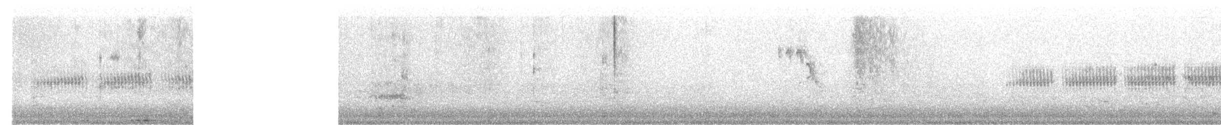 Spizella sp. - ML630019212
