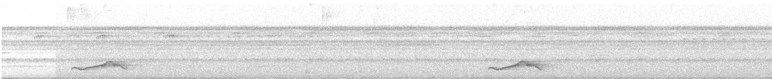 Common Pauraque - ML630024314